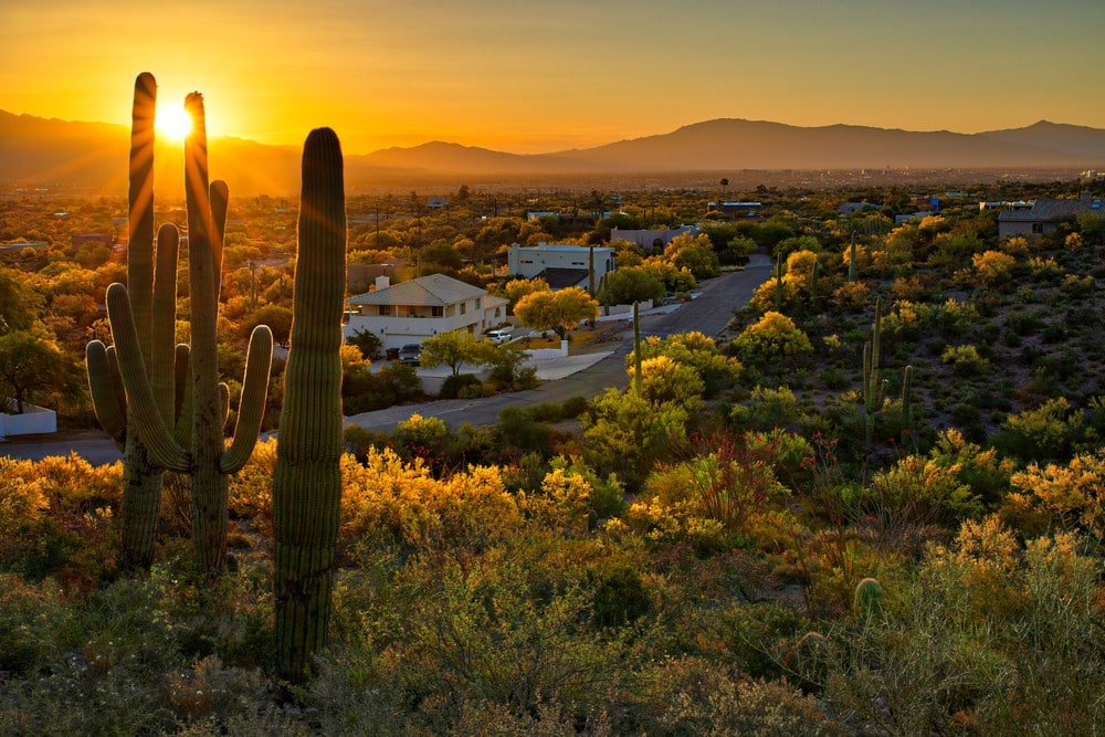 Pima County, AZ