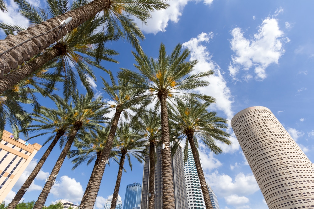 Downtown,Tampa,,Florida,Daytime