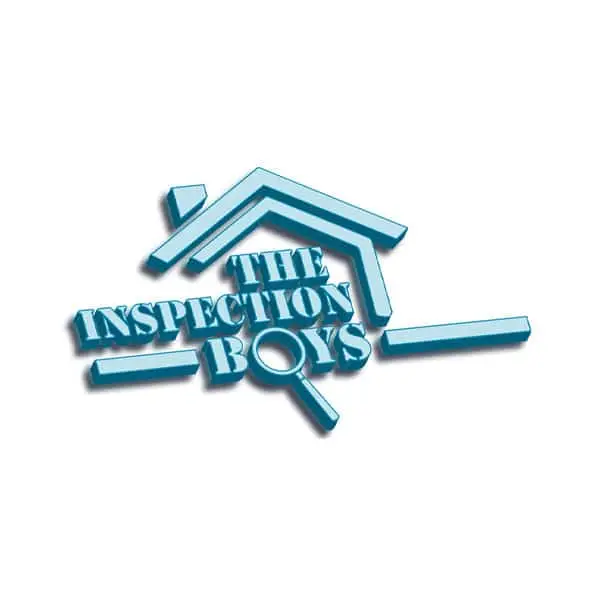 Inspection-boys-logo