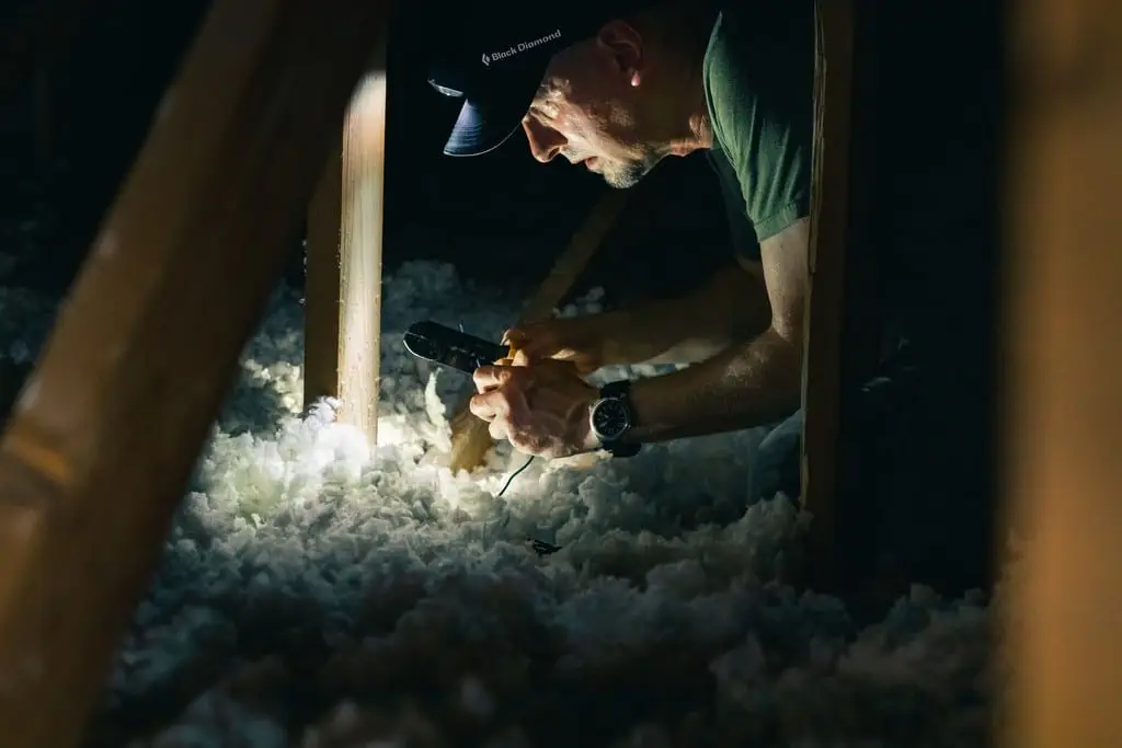 attic inspection