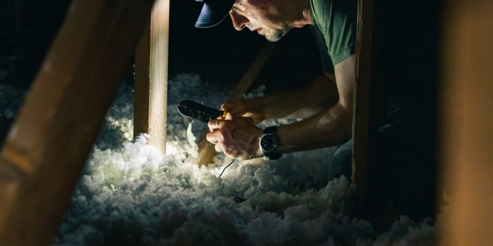 attic inspection