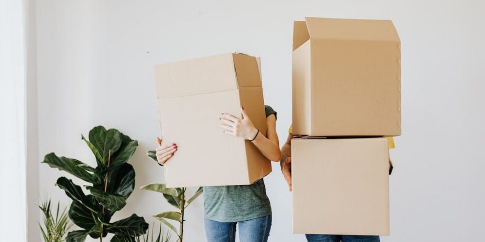 couple holding boxes