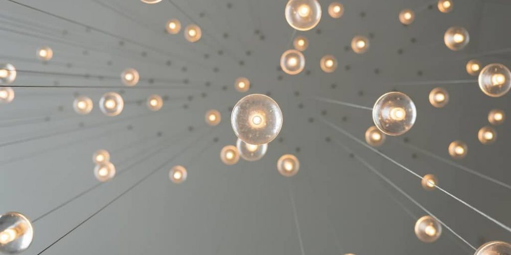 bulbs
